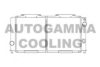 ALFA 0060537373 Radiator, engine cooling